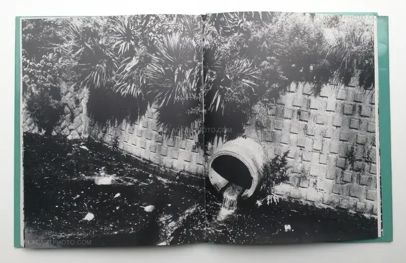 Daido Moriyama – Lettre à St. Lou