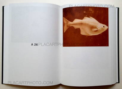 Paul Kooiker,Nude Animal Cigar (signed) Paul Kooiker,Nude Animal Cigar (signed)
