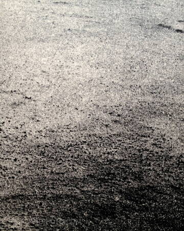 Collective,Abstracts Collective,Abstracts