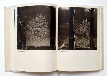 Josef Sudek,Josef Sudek Fotografie Josef Sudek,Josef Sudek Fotografie