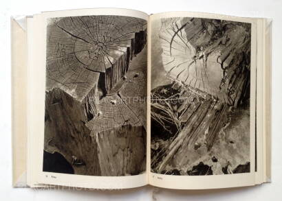 Josef Sudek,Josef Sudek Fotografie Josef Sudek,Josef Sudek Fotografie