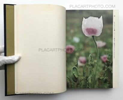 Kazuo Kenmochi,Nihon no Mayakuka (Narcotic Photographic Document) Kazuo Kenmochi,Nihon no Mayakuka (Narcotic Photographic Document)