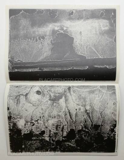 Nobuyoshi Araki,Shukei Nobuyoshi Araki,Shukei