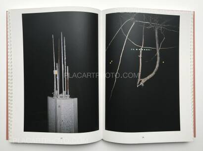 Pietro Mattioli,Two thousand light years from home Pietro Mattioli,Two thousand light years from home