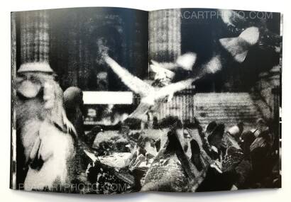 Joao Miguel Barros,Between gaze and hallucination (SIGNED) Joao Miguel Barros,Between gaze and hallucination (SIGNED)