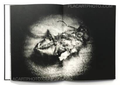 Andrej Lamut,Nokturno (LTD & SIGNED) Andrej Lamut,Nokturno (LTD & SIGNED)