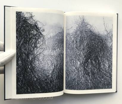 Helfried Valenta,Light shadow movement (ONLY 100 COPIES - SIGNED)