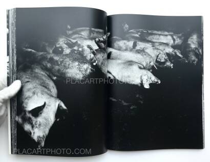 Daido Moriyama,The Tropics (SIGNED) Daido Moriyama,The Tropics (SIGNED)