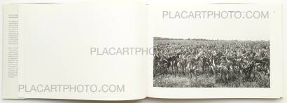 Heinrich Riebesehl,Agrarlandschaften Heinrich Riebesehl,Agrarlandschaften