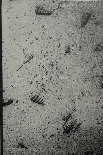 François Santerre,Tomorrow never knows (SIGNED - ONLY 100 COPIES) François Santerre,Tomorrow never knows (SIGNED - ONLY 100 COPIES)