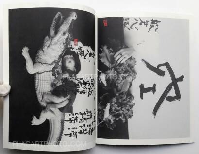 Nobuyoshi Araki,Imshu