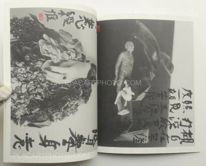 Nobuyoshi Araki,Imshu