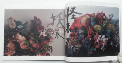 Nobuyoshi Araki,Imshun Nobuyoshi Araki,Imshun