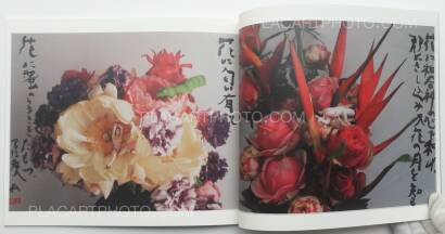 Nobuyoshi Araki,Imshun Nobuyoshi Araki,Imshun