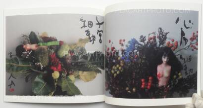 Nobuyoshi Araki,Imshun Nobuyoshi Araki,Imshun