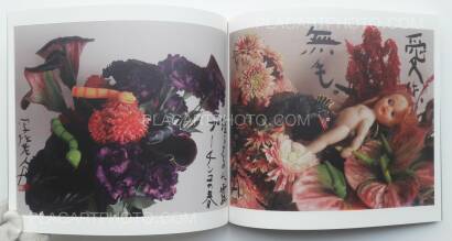 Nobuyoshi Araki,Imshun Nobuyoshi Araki,Imshun