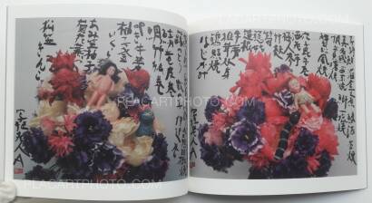 Nobuyoshi Araki,Imshun