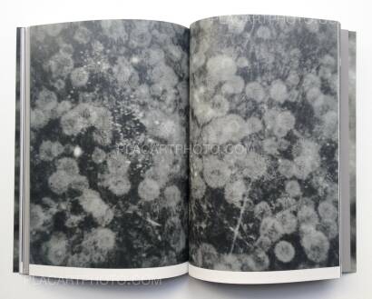 Olivier Pin-Fat,PABAIGA (Signed copy) Olivier Pin-Fat,PABAIGA (Signed copy)