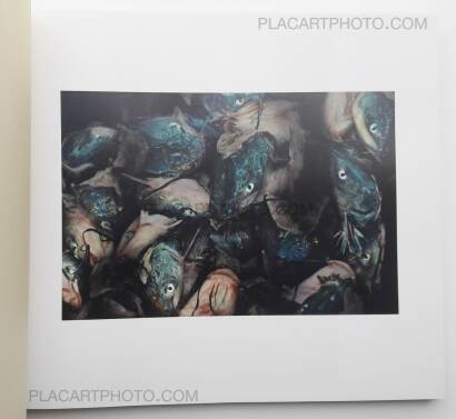 Hannah Modigh,Hurricane season (SIGNED) Hannah Modigh,Hurricane season (SIGNED)