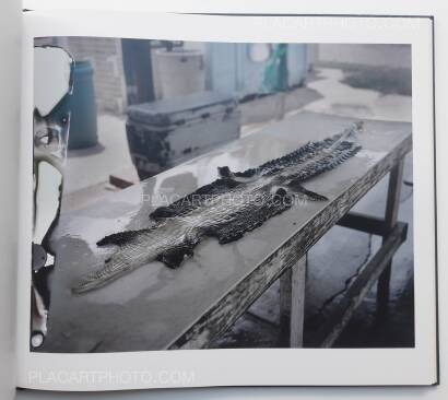 Hannah Modigh,Hurricane season (SIGNED) Hannah Modigh,Hurricane season (SIGNED)