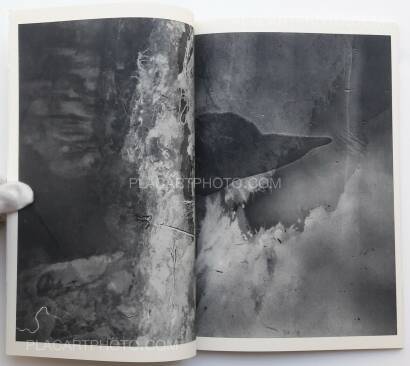 Daisuke Yokota,LINGER