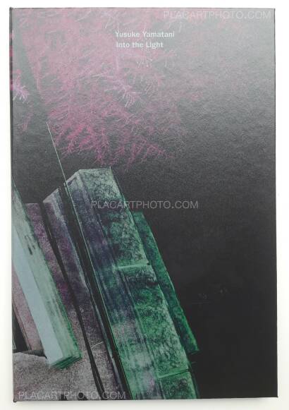 Yusuke Yamatani,Into the light (SIGNED) Yusuke Yamatani,Into the light (SIGNED)