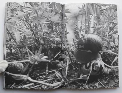 Attilio Solzi,Home Video Diary (SIGNED) Attilio Solzi,Home Video Diary (SIGNED)