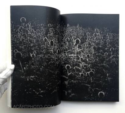 Thomas Vandenberghe,CAN’T PAY YOU TO DISAPPEAR (ONLY 200 COPIES) Thomas Vandenberghe,CAN’T PAY YOU TO DISAPPEAR (ONLY 200 COPIES)