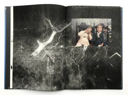 Mayumi Suzuki,The Restoration Will  (CEIBA EDT) Mayumi Suzuki,The Restoration Will  (CEIBA EDT)