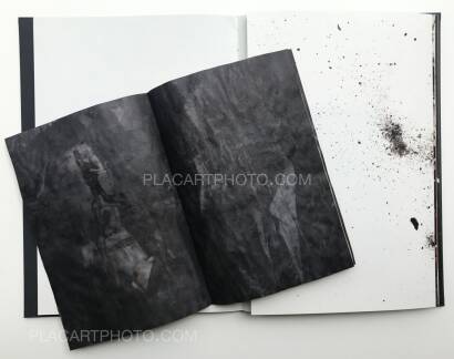 Mayumi Suzuki,The Restoration Will  (CEIBA EDT) Mayumi Suzuki,The Restoration Will  (CEIBA EDT)