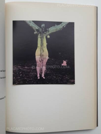 Hans Bellmer,Die Puppe Hans Bellmer,Die Puppe