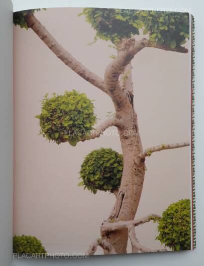 Heidi Specker,Bangkok Heidi Specker,Bangkok