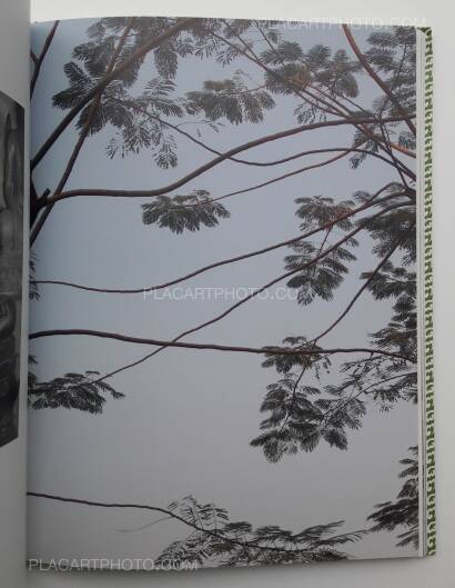 Heidi Specker,Bangkok Heidi Specker,Bangkok