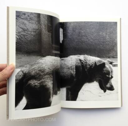 Sergio Larrain,Valparaiso