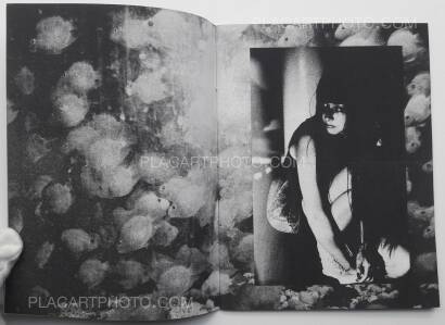 Nick Haymes,North East South West (LTD & SIGNED) Nick Haymes,North East South West (LTD & SIGNED)