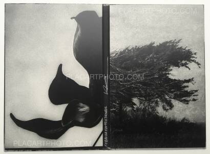 Yusuf Sevinçli,Oculus (SIGNED) Yusuf Sevinçli,Oculus (SIGNED)