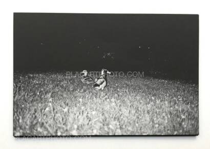 Nai Wen Hsu,Unspoken (Signed and numbered copy) Nai Wen Hsu,Unspoken (Signed and numbered copy)