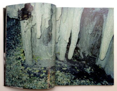 Daisuke Yokota,Taratine (Signed) Daisuke Yokota,Taratine (Signed)