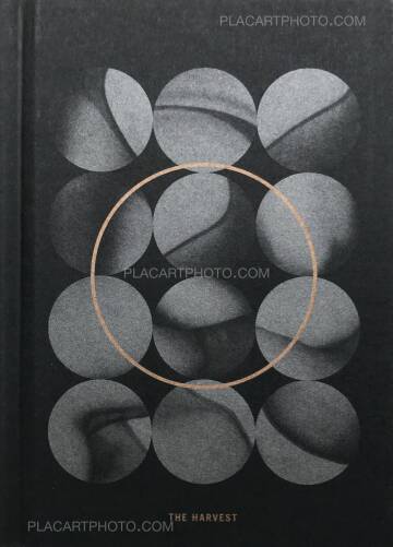 Valentina Abenavoli,THE HARVEST Valentina Abenavoli,THE HARVEST