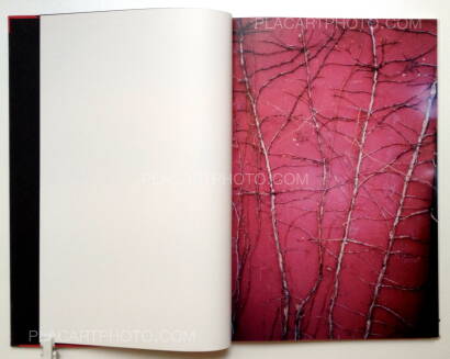 Katinka Goldberg,Surfacing Katinka Goldberg,Surfacing