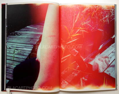 Katinka Goldberg,Surfacing Katinka Goldberg,Surfacing