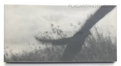 Jungjin Lee,EVERGLADES Jungjin Lee,EVERGLADES