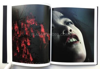 Christopher Anderson,APPROXIMATE JOY Christopher Anderson,APPROXIMATE JOY