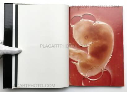 Kazuo Kenmochi,PHOTOGRAPHIC DOCUMENT THE TINIEST LIFE Kazuo Kenmochi,PHOTOGRAPHIC DOCUMENT THE TINIEST LIFE