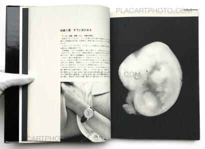 Kazuo Kenmochi,PHOTOGRAPHIC DOCUMENT THE TINIEST LIFE Kazuo Kenmochi,PHOTOGRAPHIC DOCUMENT THE TINIEST LIFE