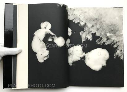 Kazuo Kenmochi,PHOTOGRAPHIC DOCUMENT THE TINIEST LIFE Kazuo Kenmochi,PHOTOGRAPHIC DOCUMENT THE TINIEST LIFE