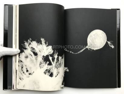 Kazuo Kenmochi,PHOTOGRAPHIC DOCUMENT THE TINIEST LIFE Kazuo Kenmochi,PHOTOGRAPHIC DOCUMENT THE TINIEST LIFE