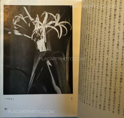 Koshiro Onchi,Hakubutsushi: Zuihitsu, Shashin Koshiro Onchi,Hakubutsushi: Zuihitsu, Shashin