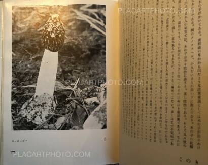 Koshiro Onchi,Hakubutsushi: Zuihitsu, Shashin Koshiro Onchi,Hakubutsushi: Zuihitsu, Shashin