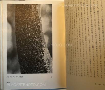 Koshiro Onchi,Hakubutsushi: Zuihitsu, Shashin Koshiro Onchi,Hakubutsushi: Zuihitsu, Shashin